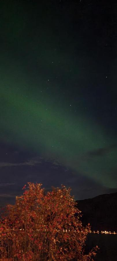 Aurora Dream Leilighet Svensby Eksteriør bilde