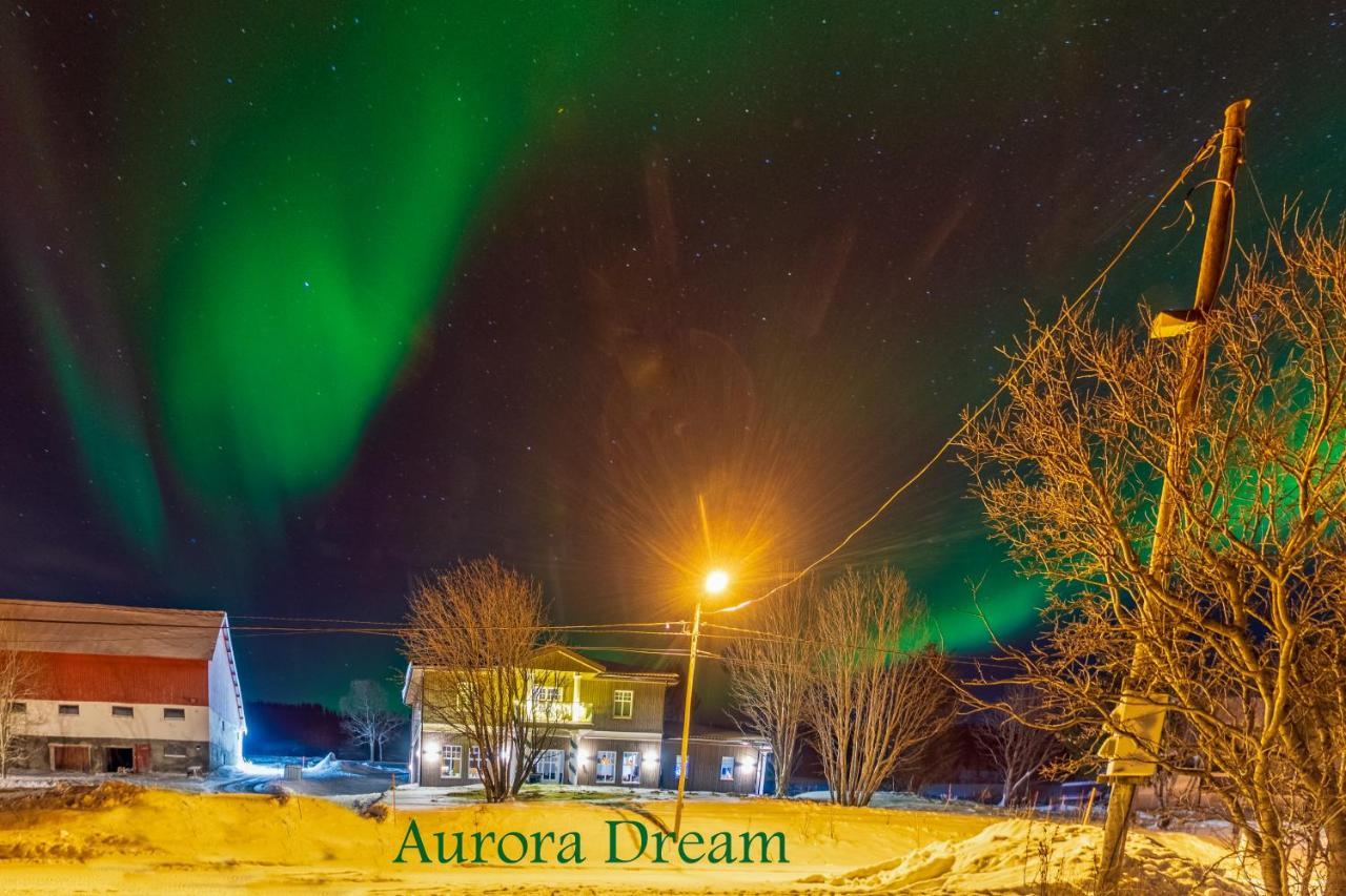 Aurora Dream Leilighet Svensby Eksteriør bilde
